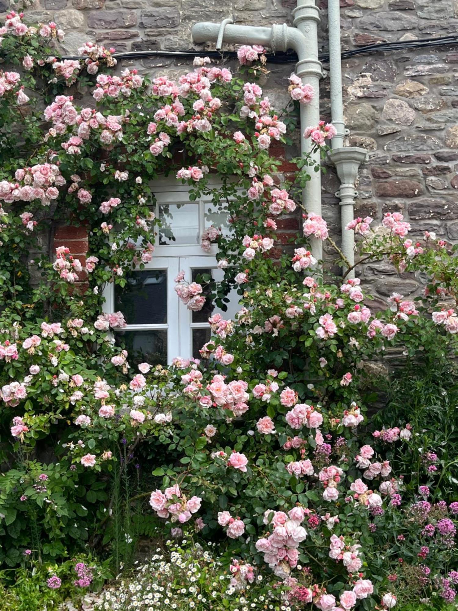 The Cottage Abergavenny Exterior photo